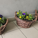 Veľká noc prichádza do Krásna, námestie zdobia aj školáci
