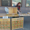 Festival dreva spojil remeslo, prírodu aj moderné technológie