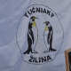 Prvé otužovanie Krásňanských mrožov