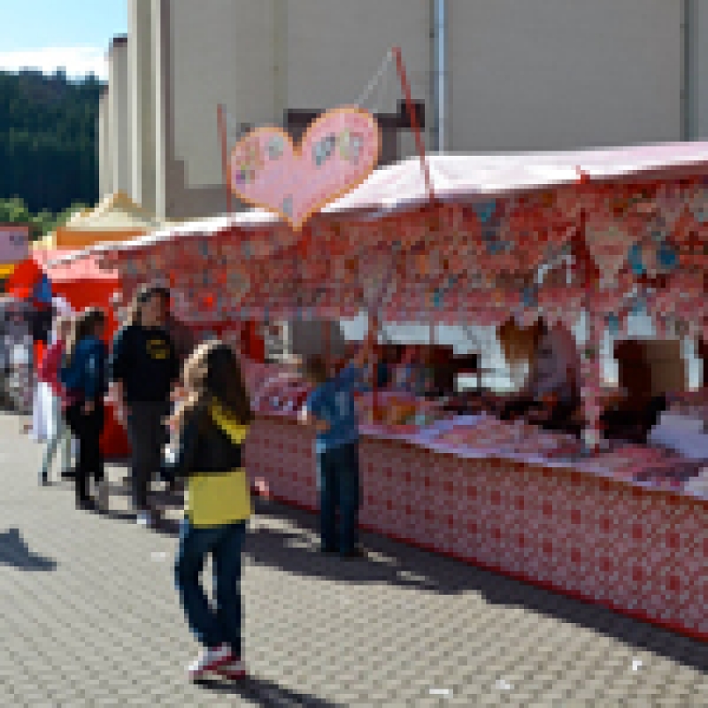 Fotky zo Svätojánskeho jarmoku 2015