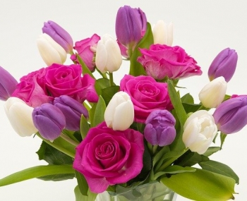 Všetko najlepšie ku Dňu učiteľov