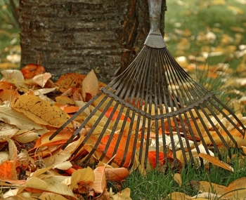 Sezónny zber biologicky rozložiteľného odpadu zo záhrad na zbernom dvore - jeseň 2023