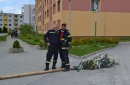 Máj, máj, máj zelený, na konci mesiaca je už zvalený