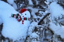 Vyhodnotenie súťaže o najkrajšieho snehuliaka