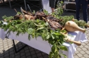 Gastrofestival prilákal stovky, ak nie tisícky ľudí